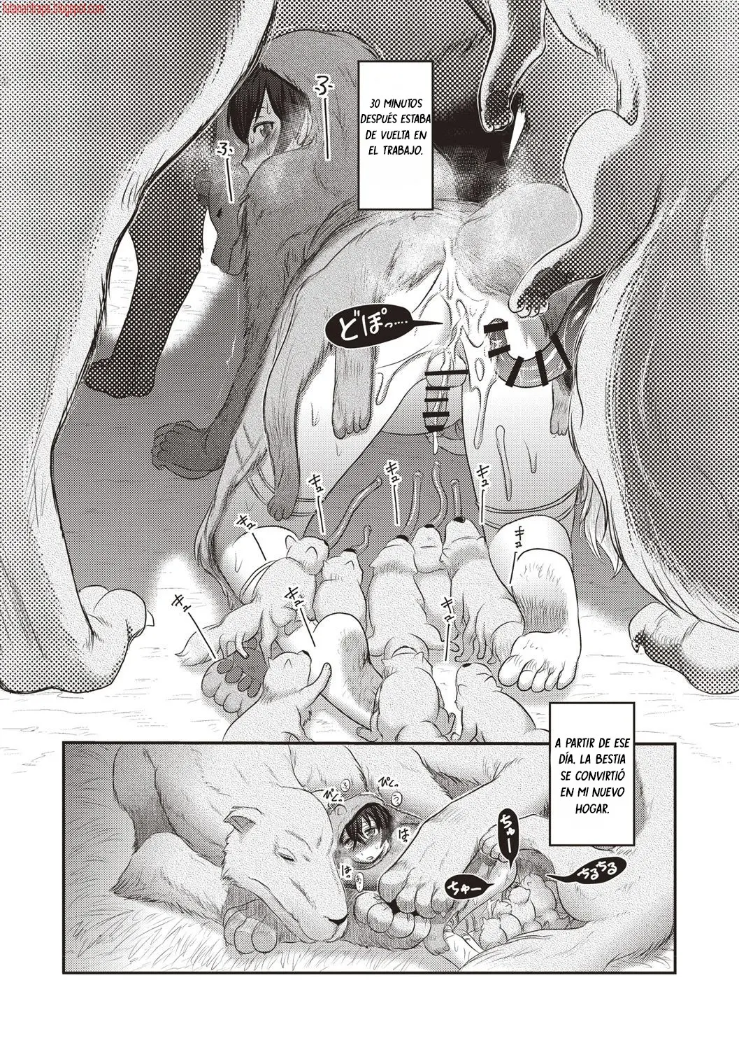 Página 15