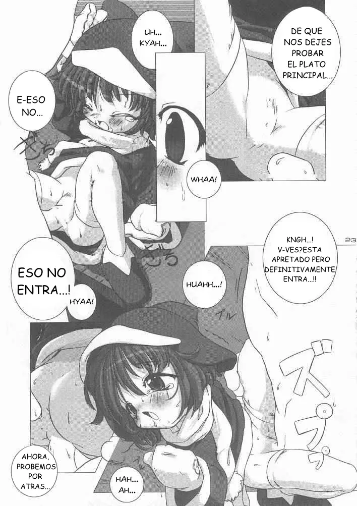 Página 22