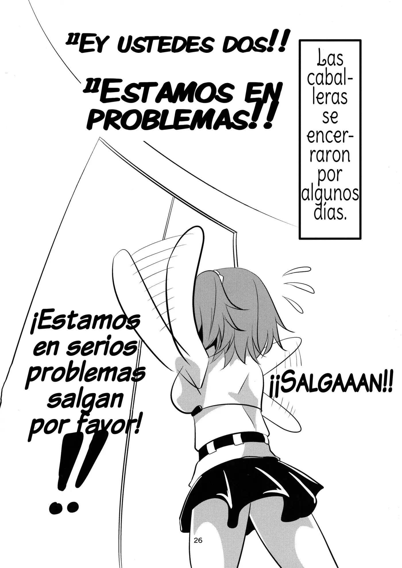 Página 26