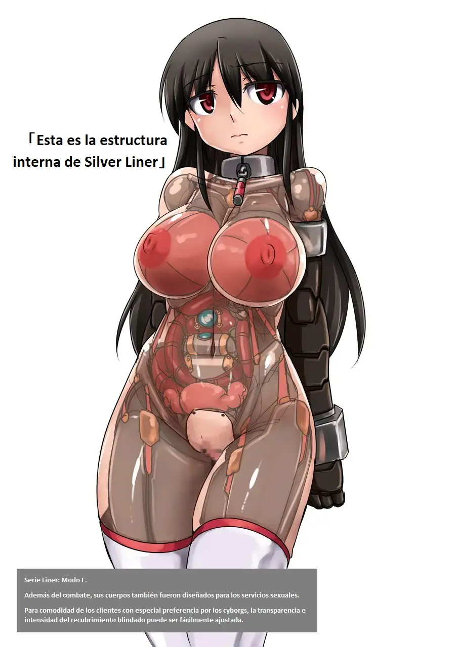 Página 13