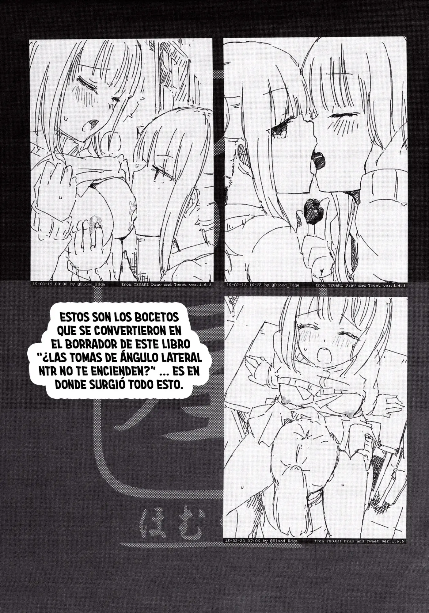 Página 16