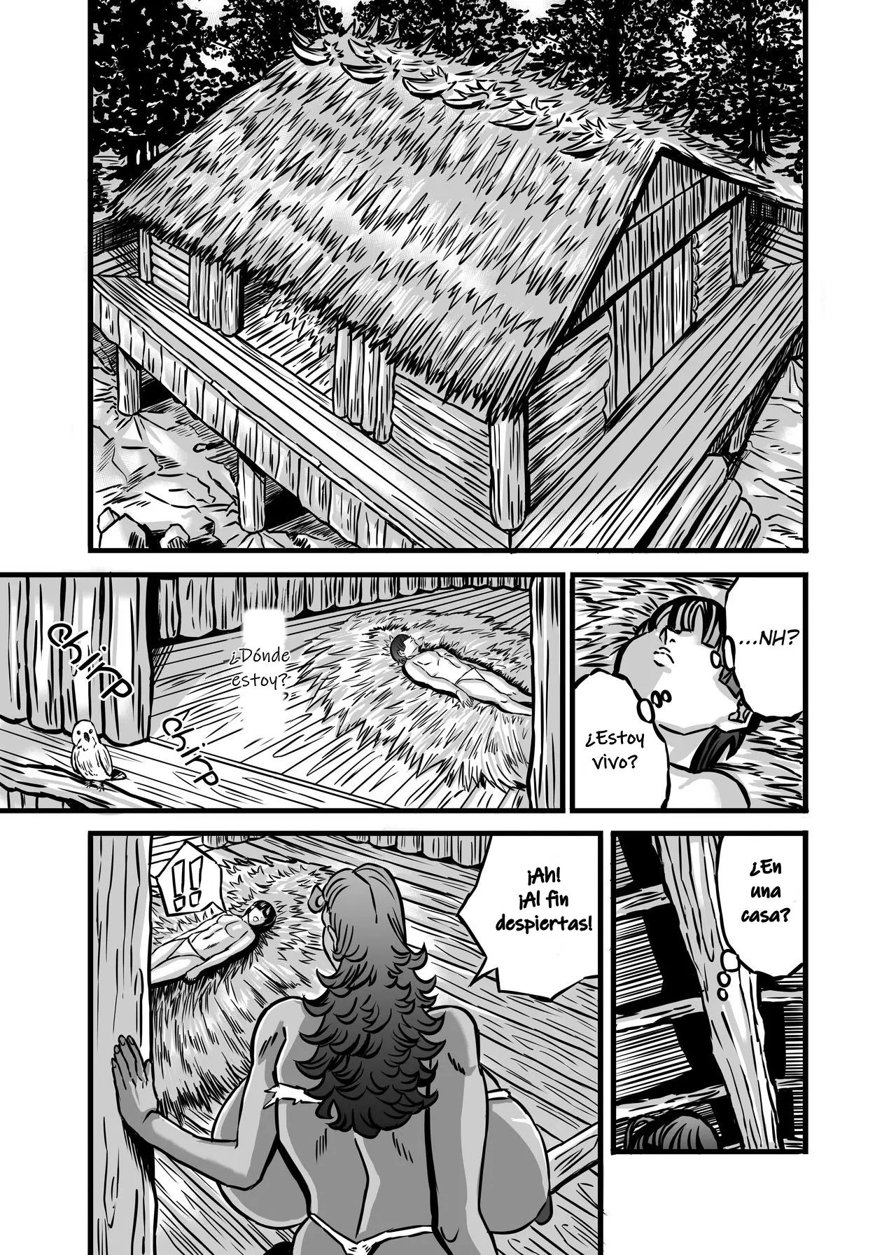 Página 11