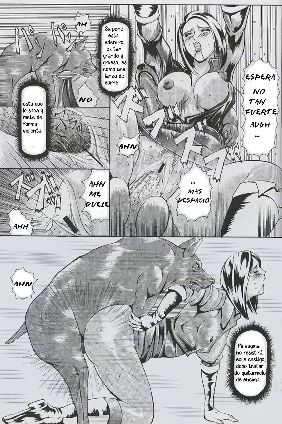 Página 12