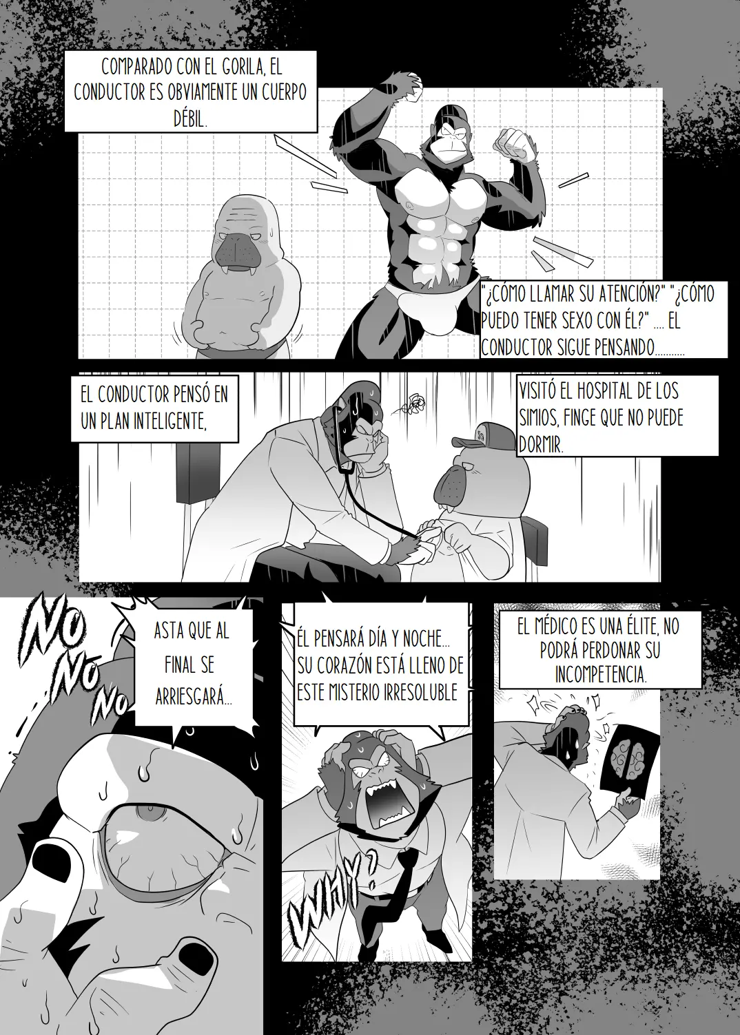 Página 16