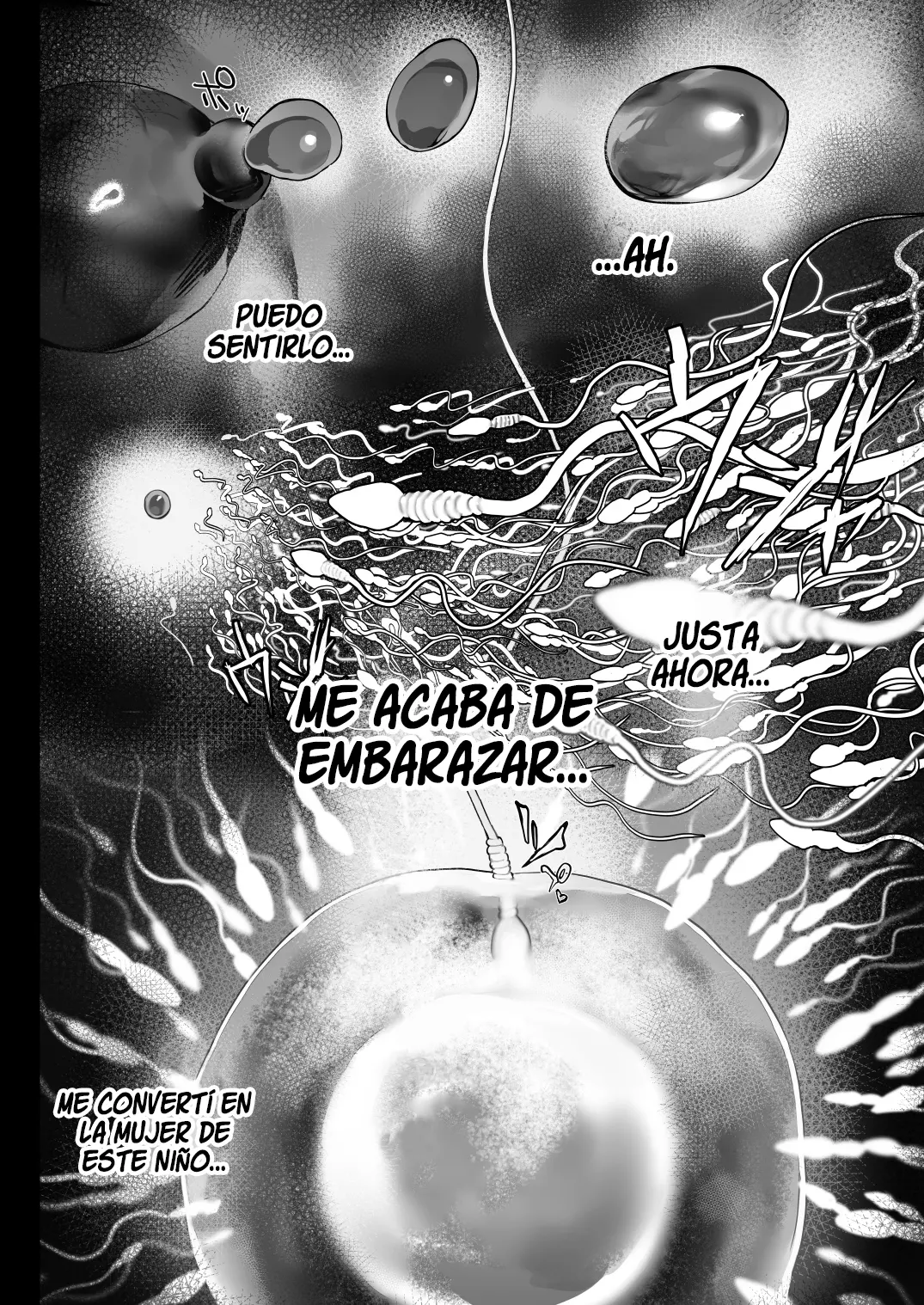 Página 37