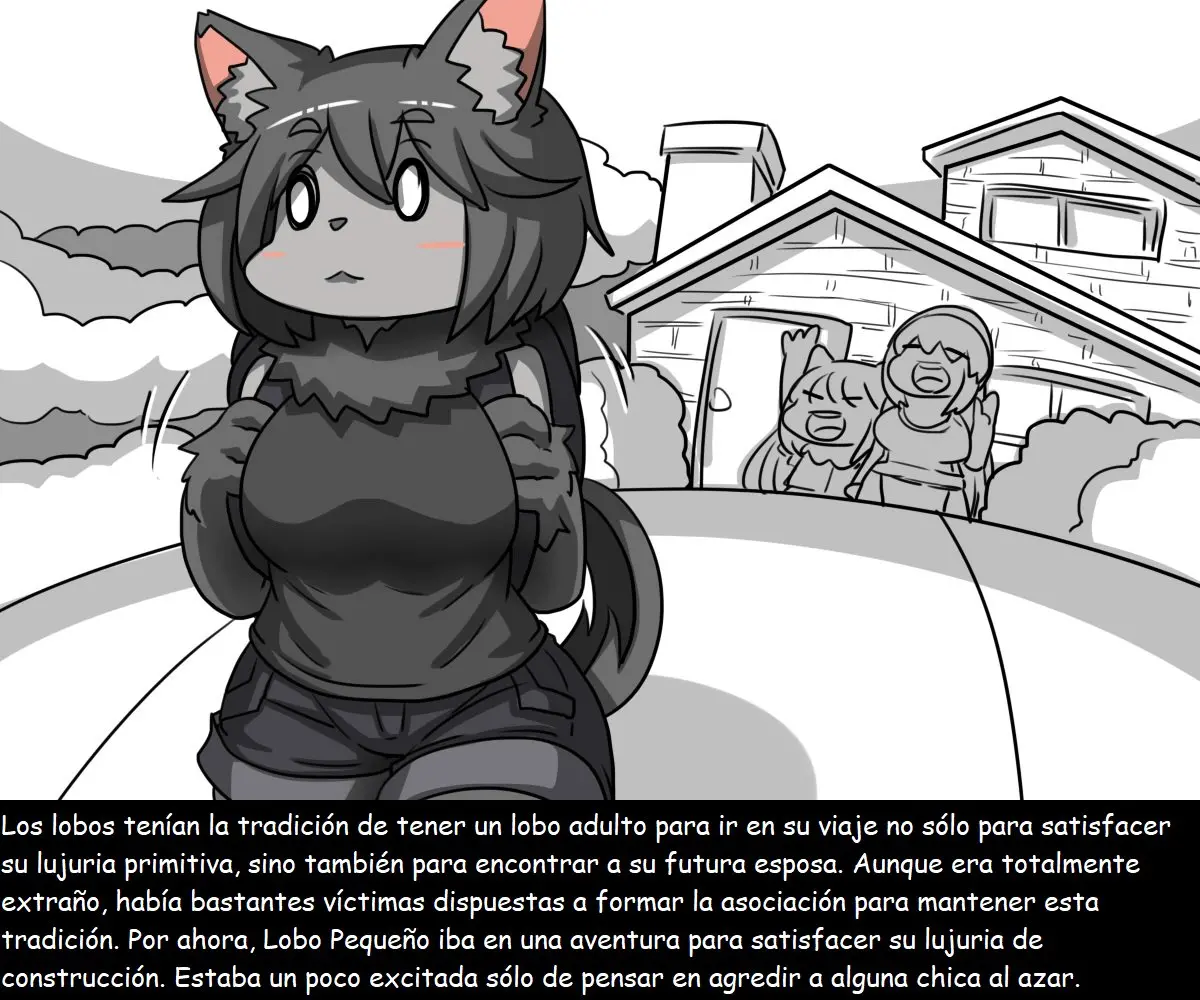 Página 17