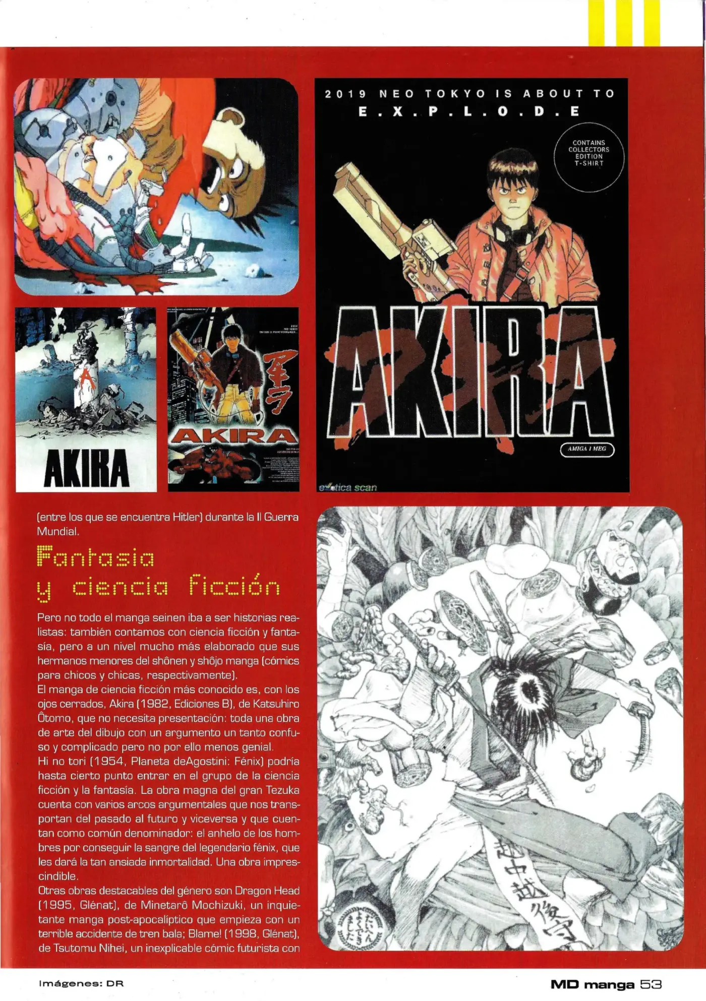 Página 53