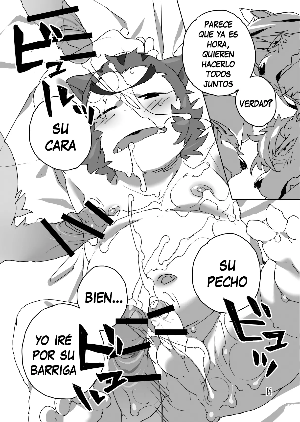 Página 14