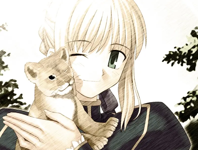 Página 64