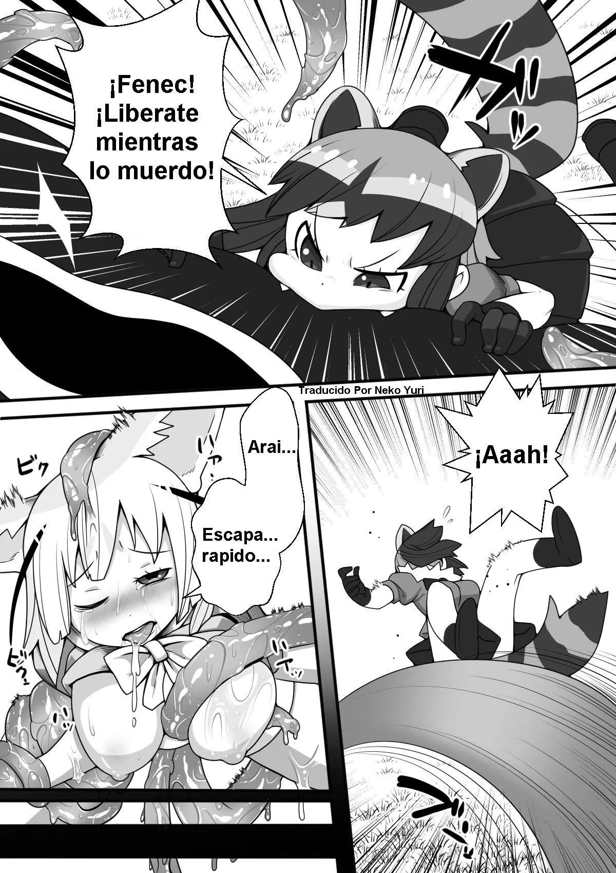 Página 12