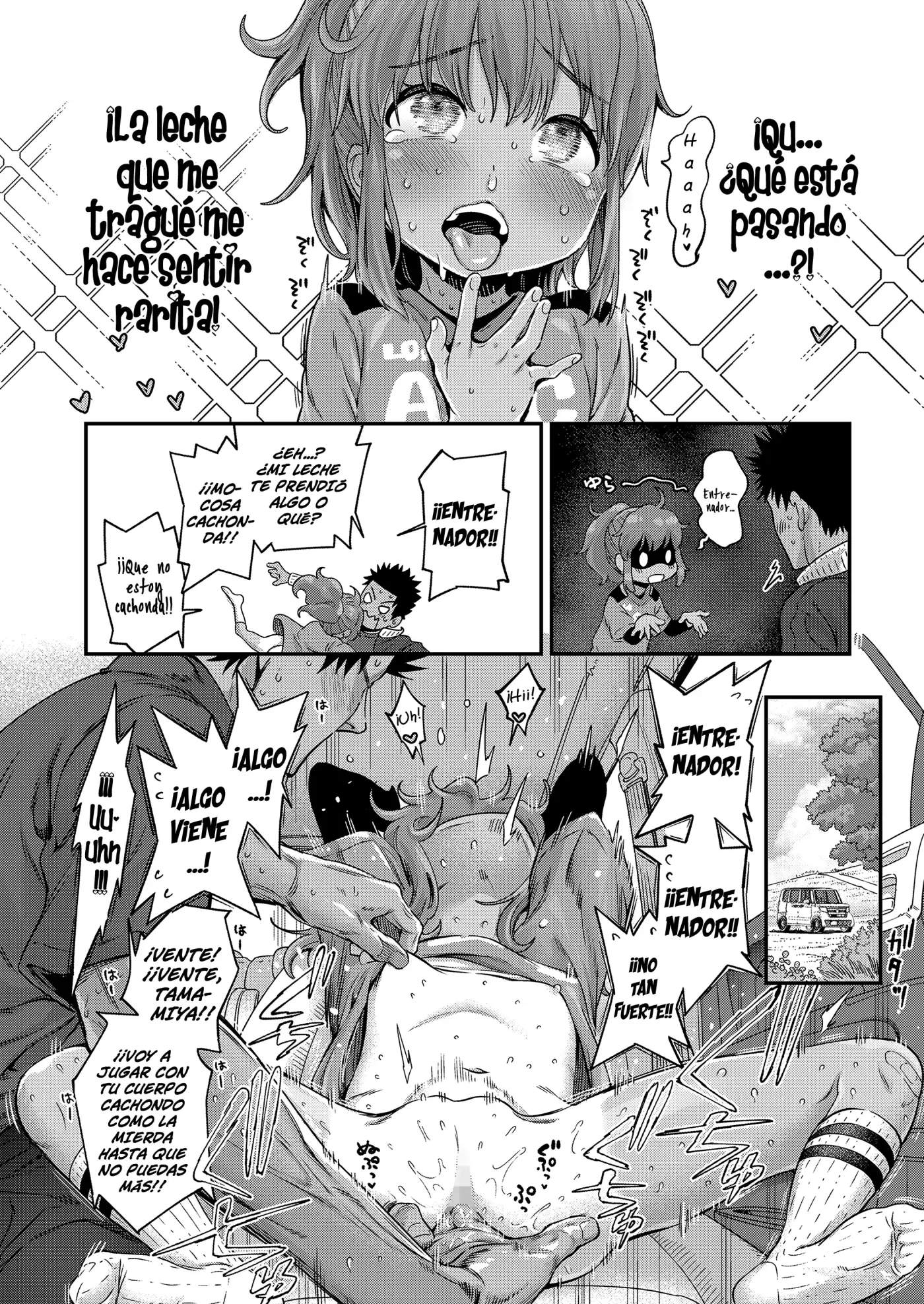 Página 16