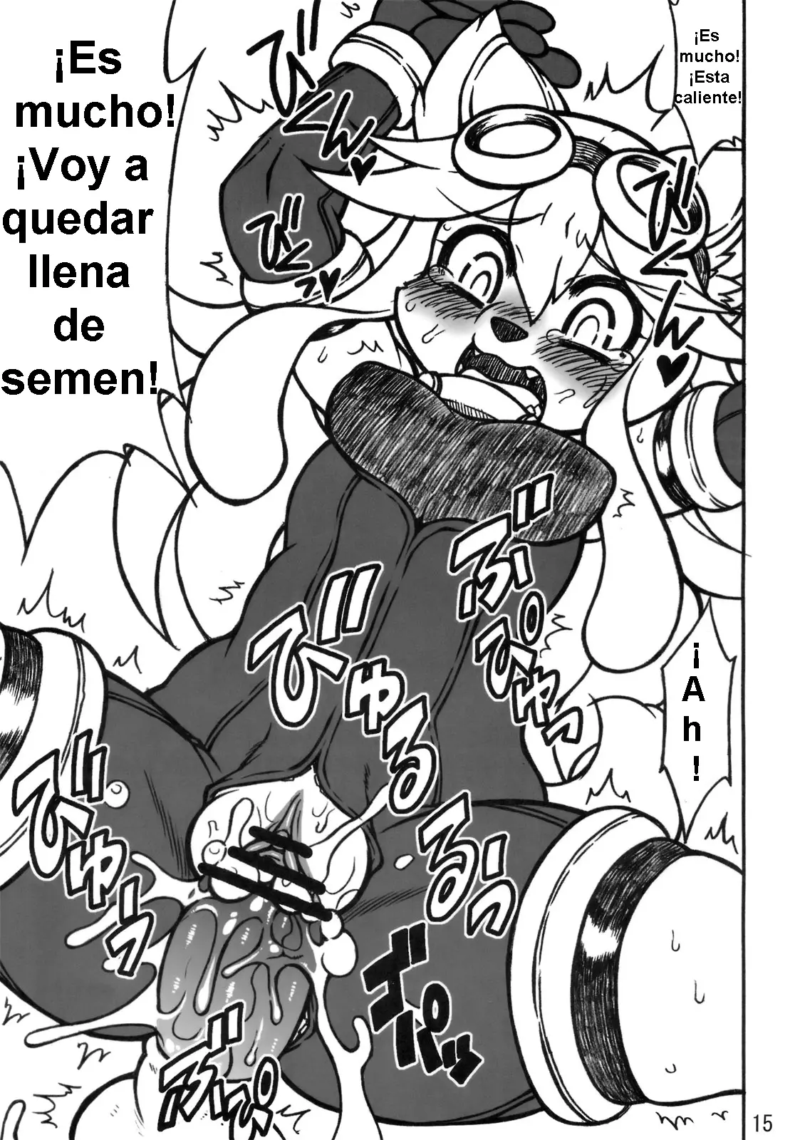 Página 14