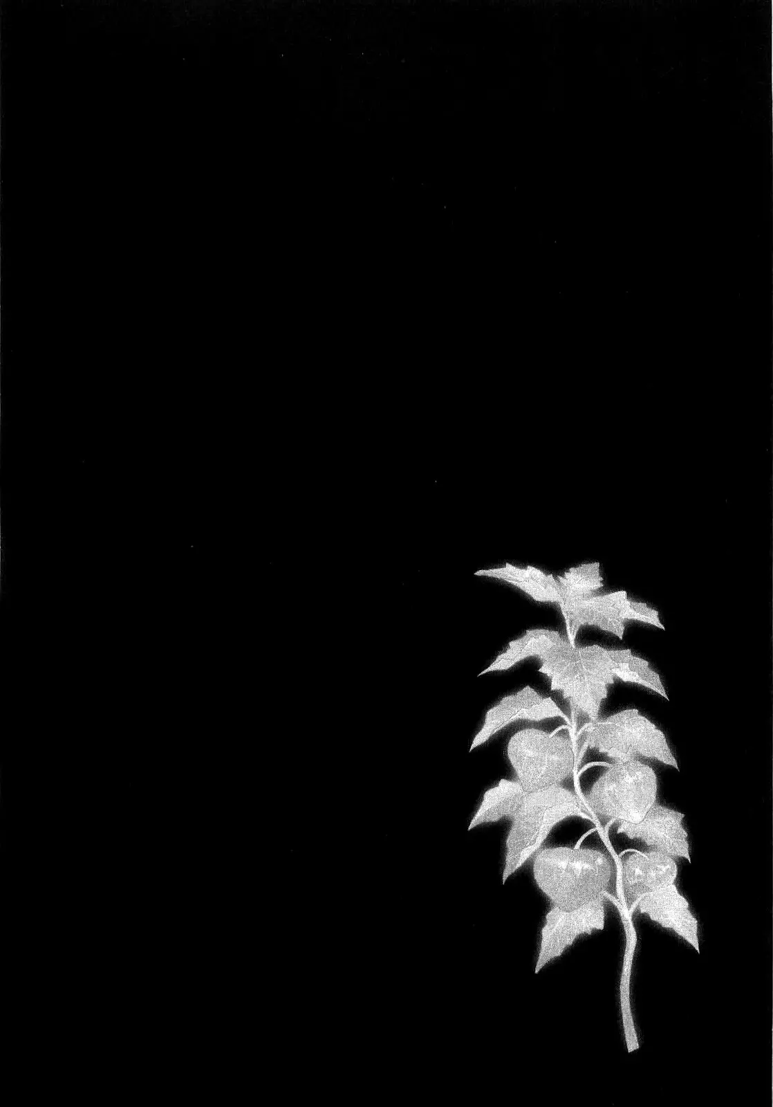 Página 107