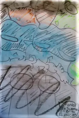 Página 20