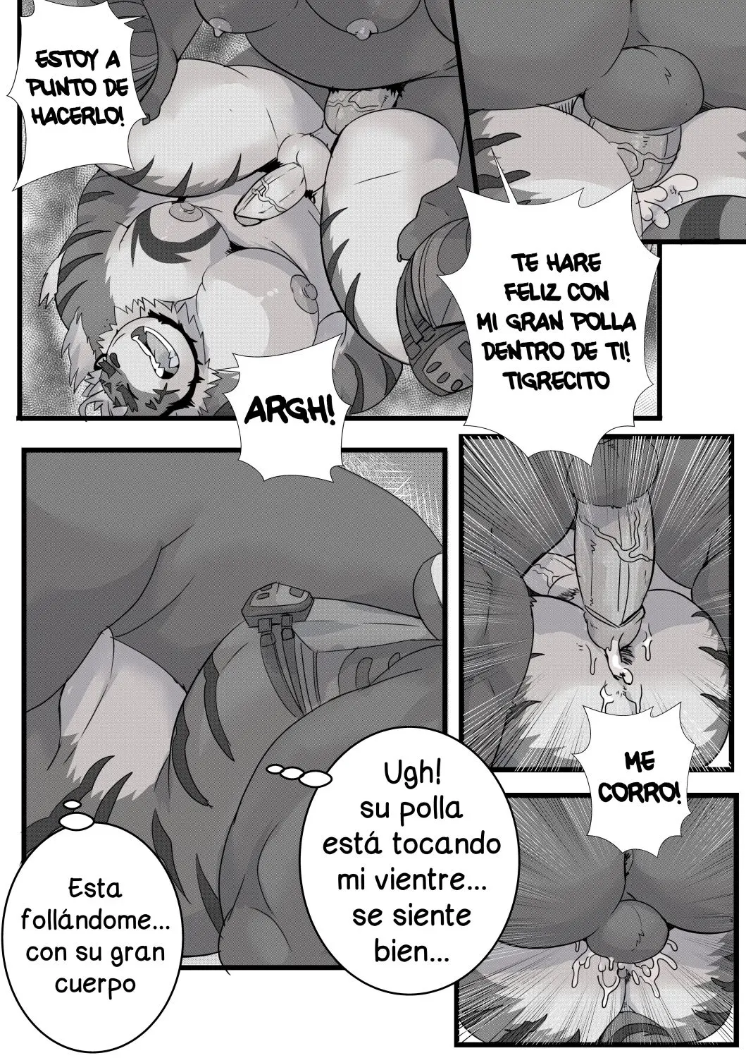 Página 14
