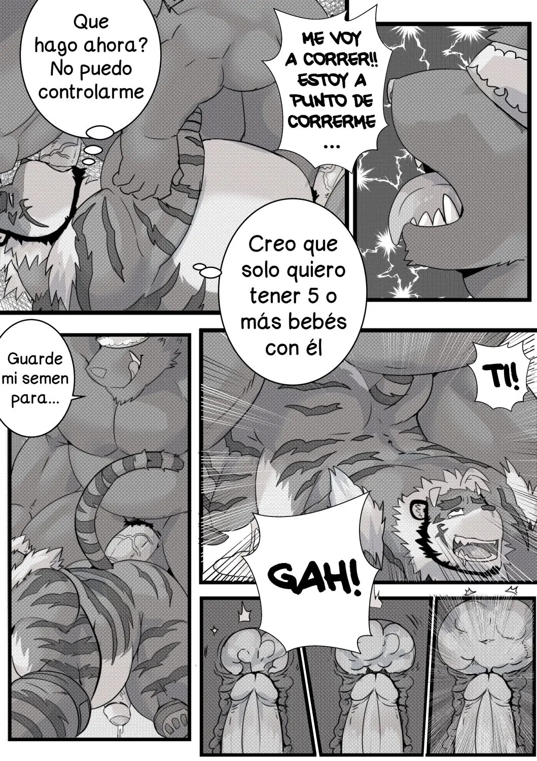 Página 17