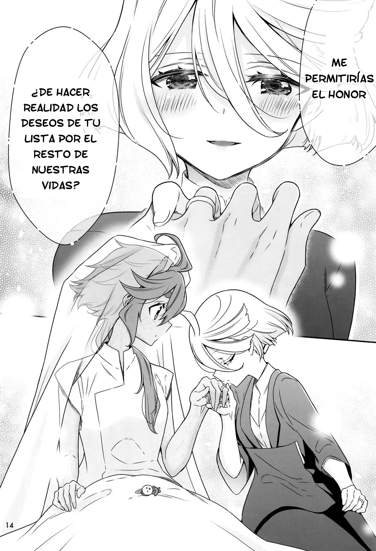 Página 14