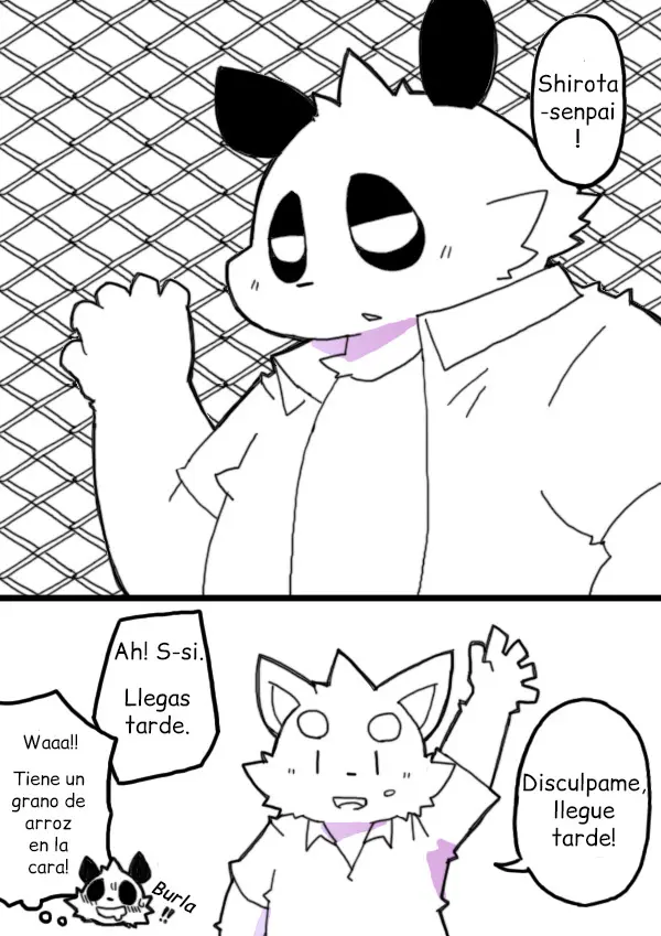 Página 12
