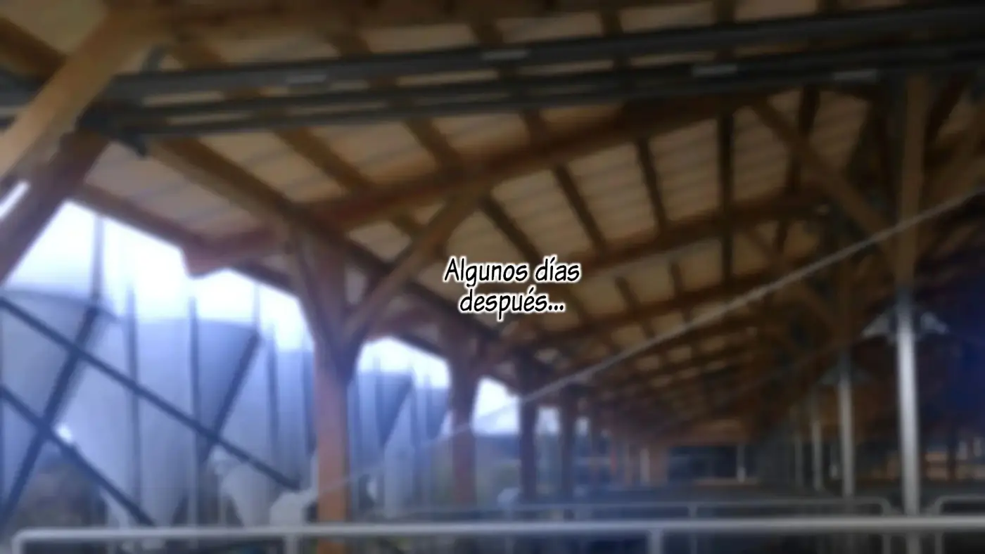 Página 224