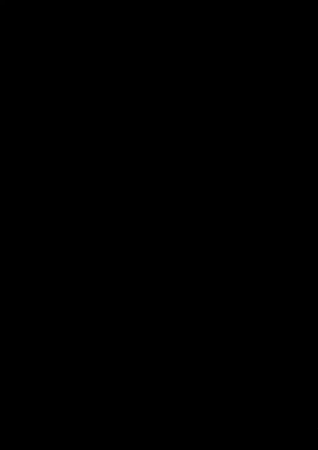 Página 198
