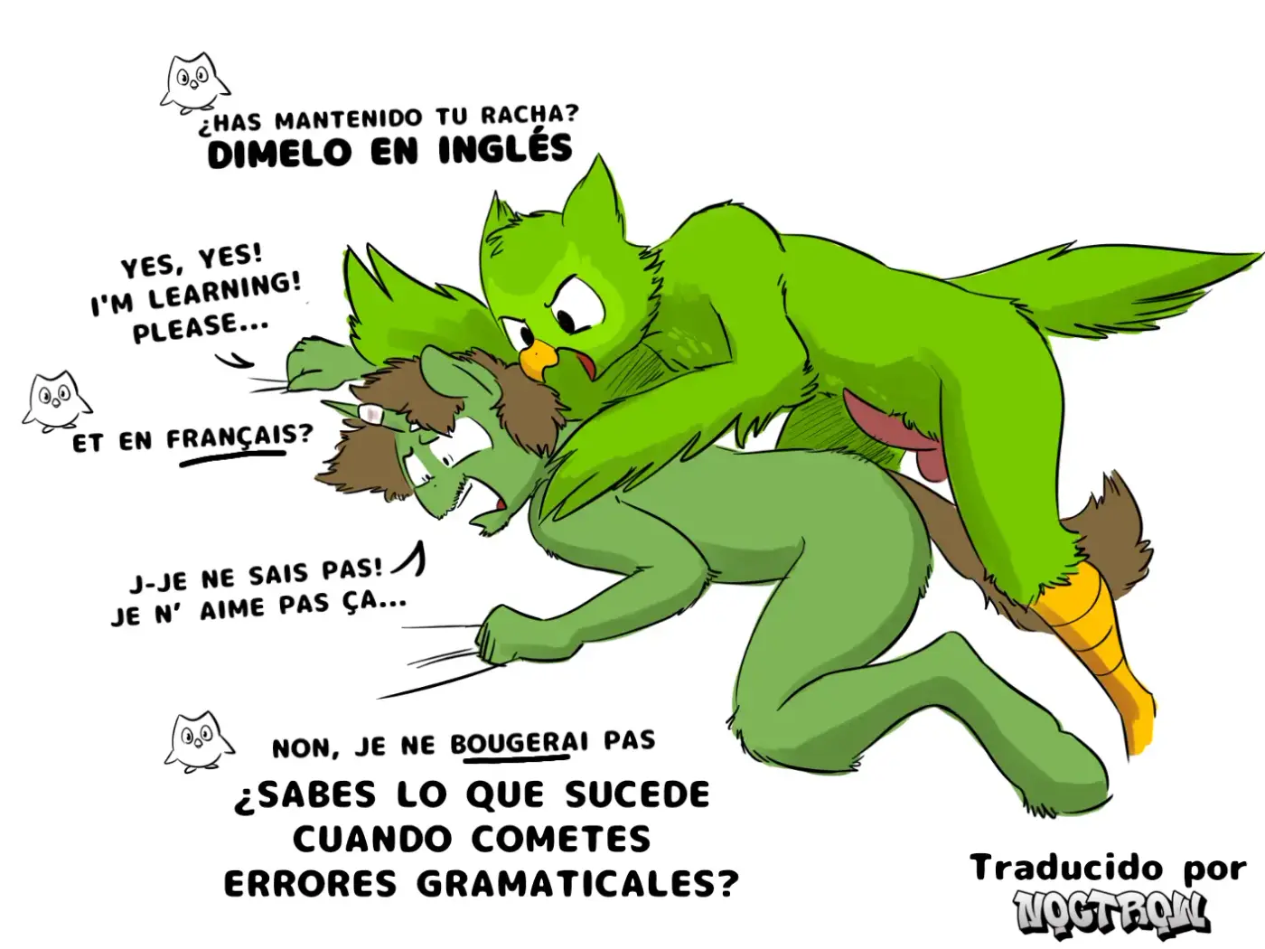 Página 17