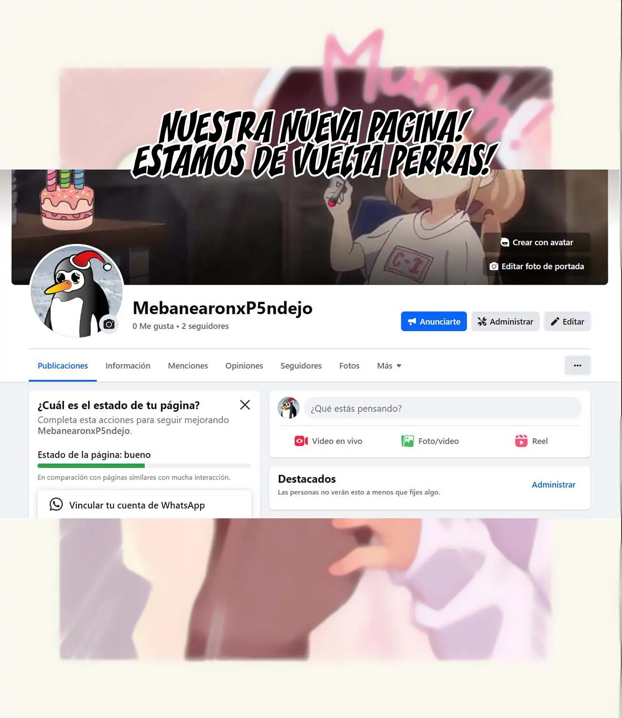 Página 33