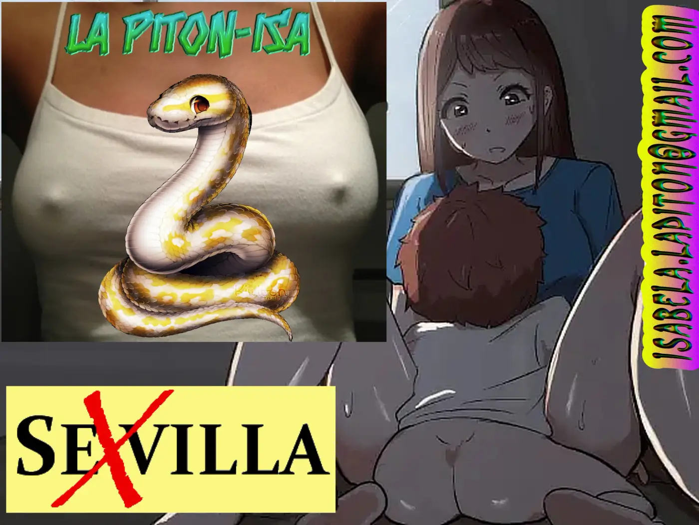 Página 43