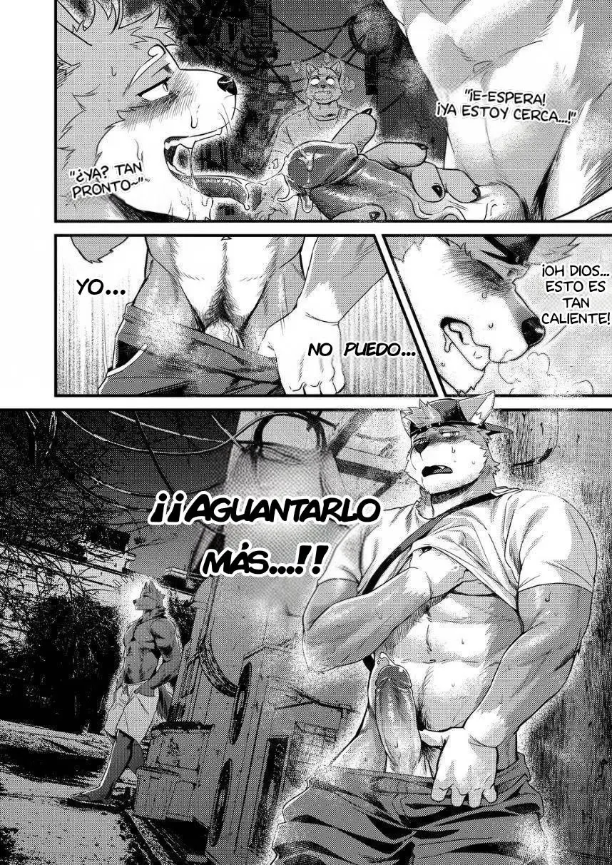Página 17