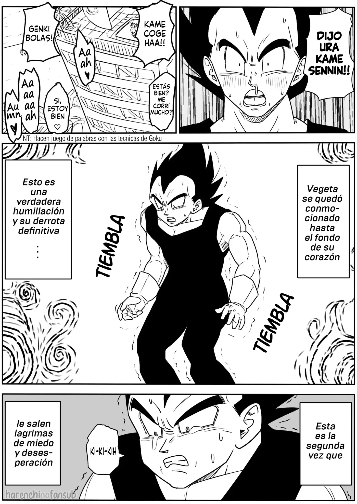 Página 11
