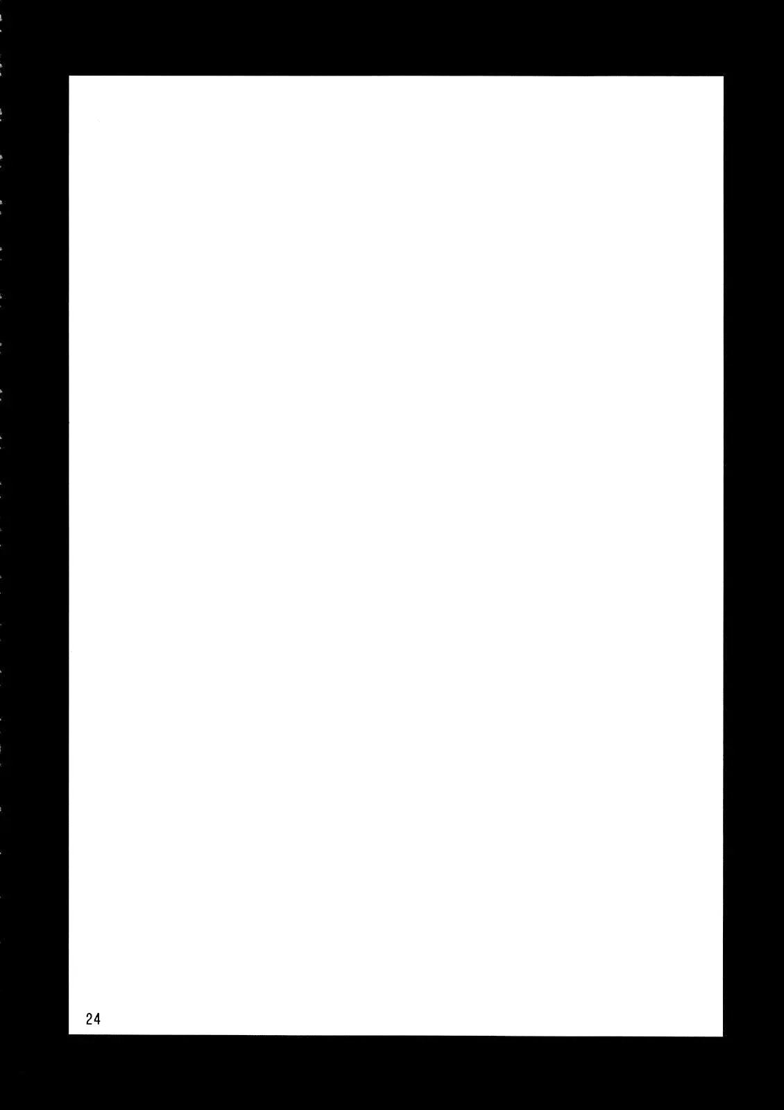 Página 24