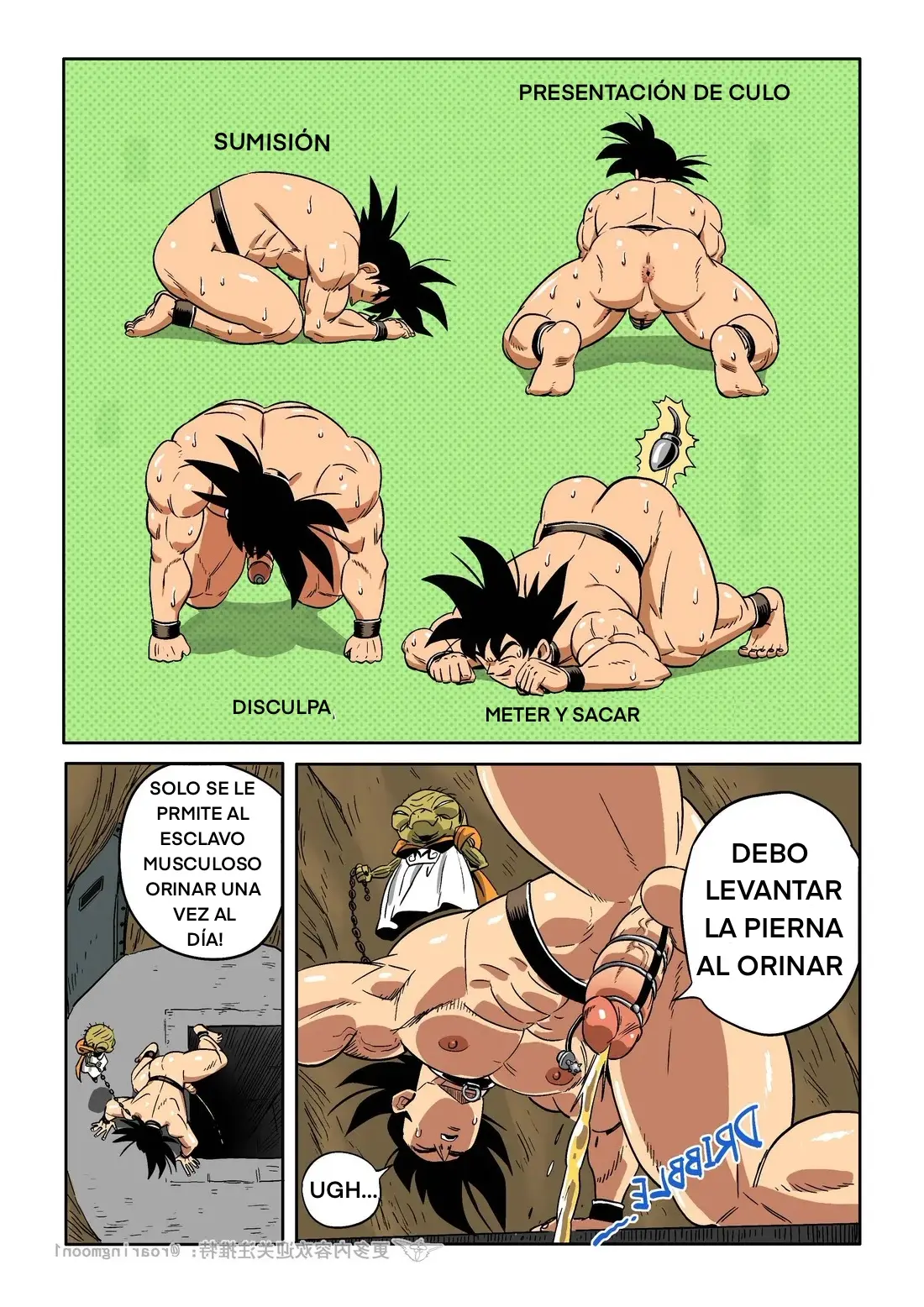 Página 29