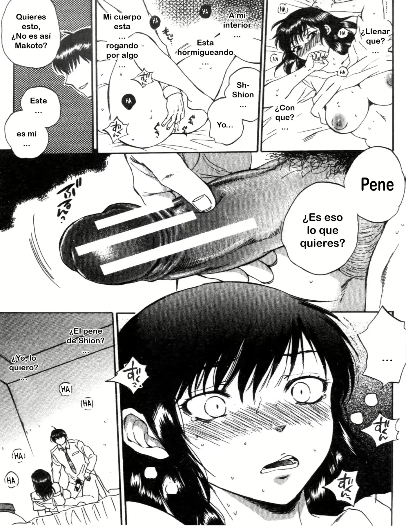 Página 29