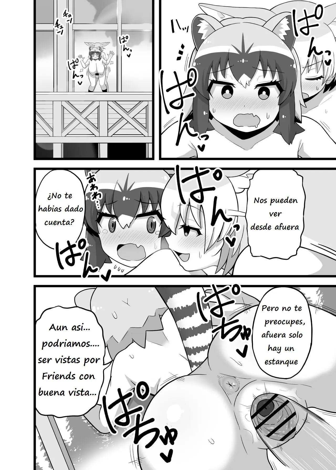 Página 17