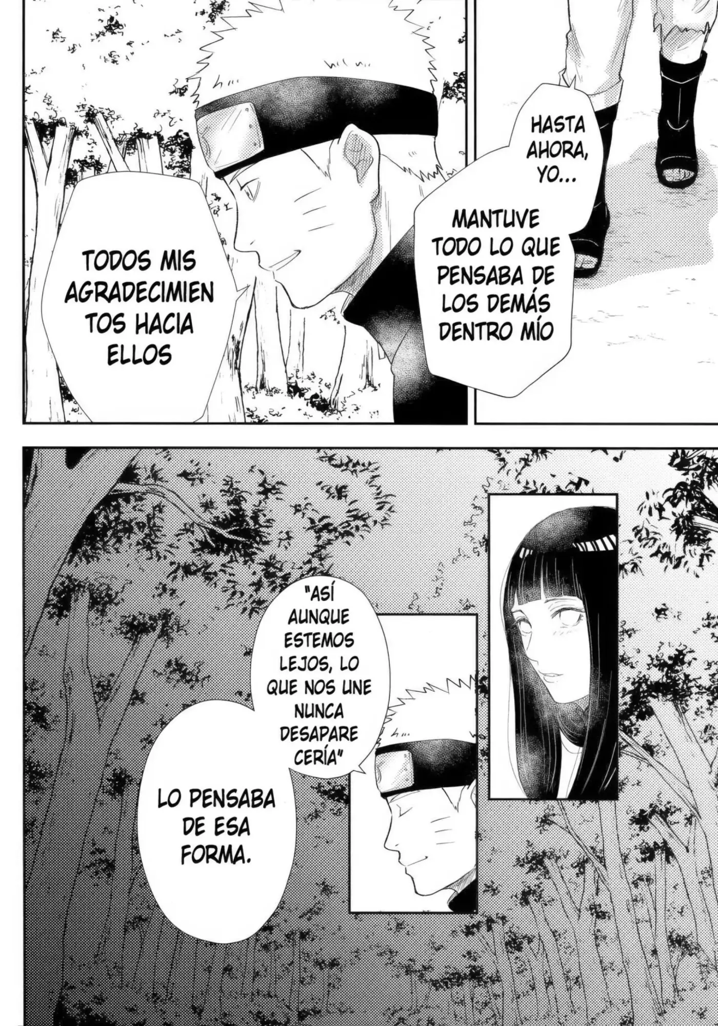 Página 51