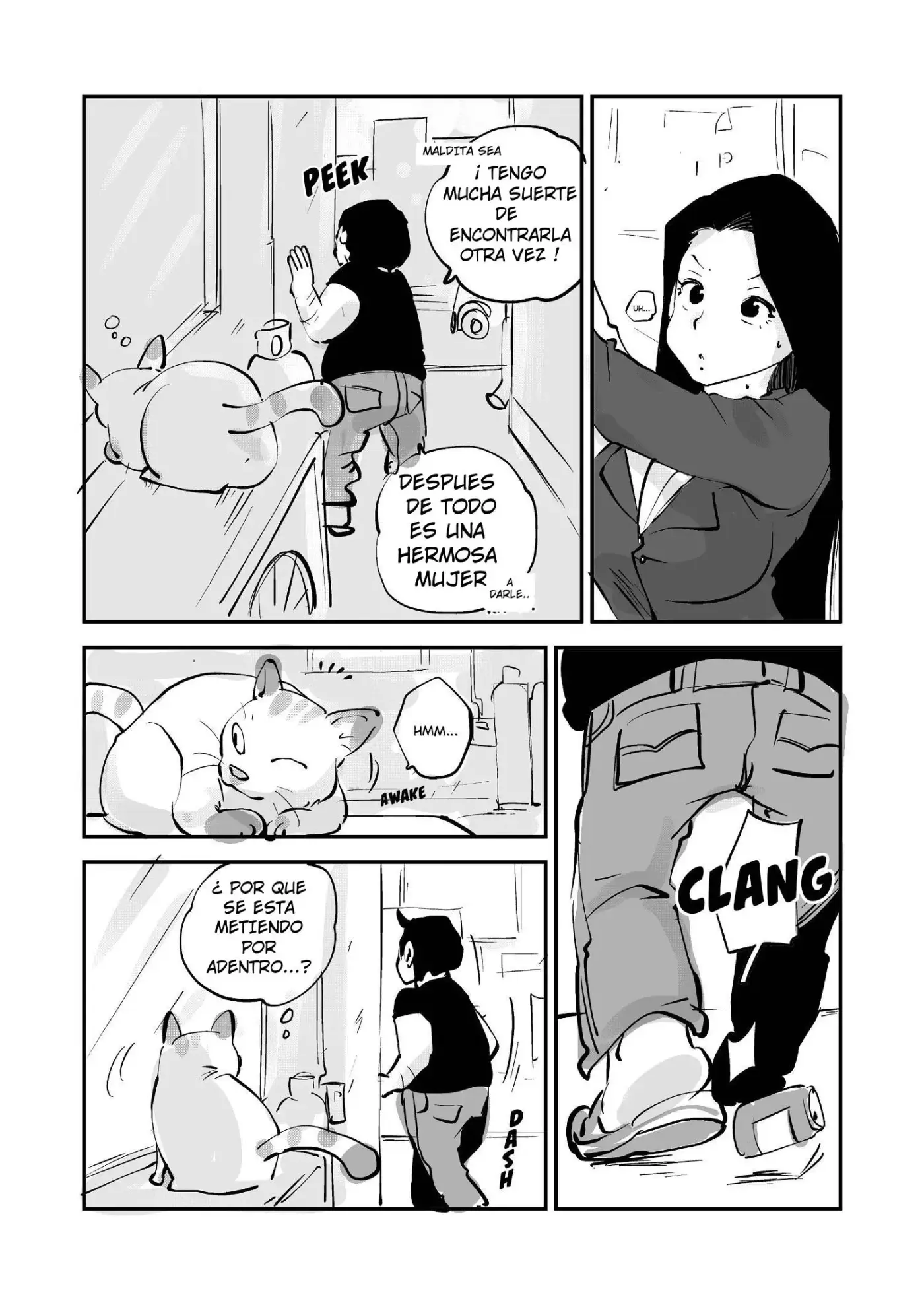 Página 243