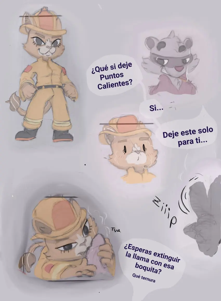 Página 70