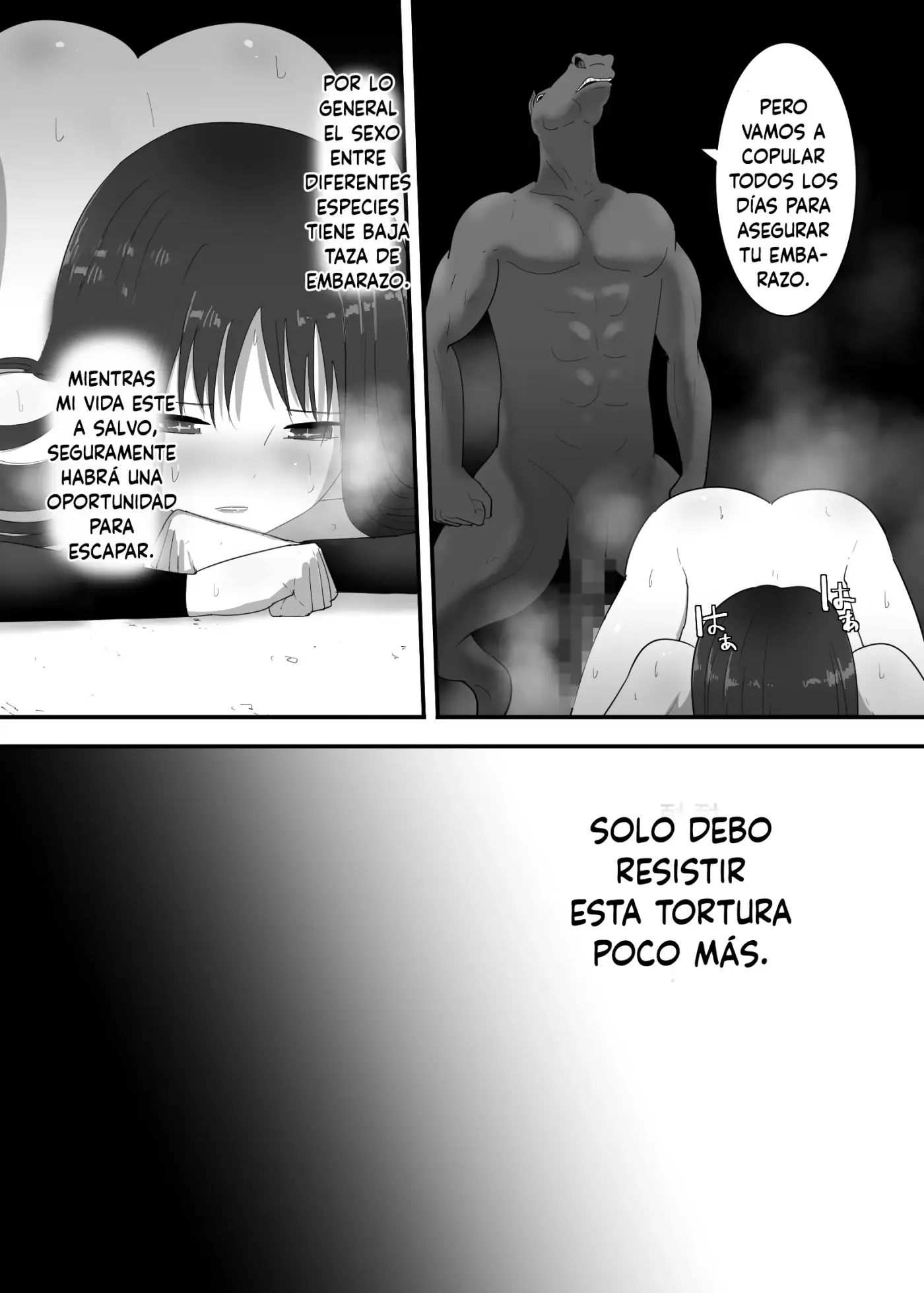 Página 29