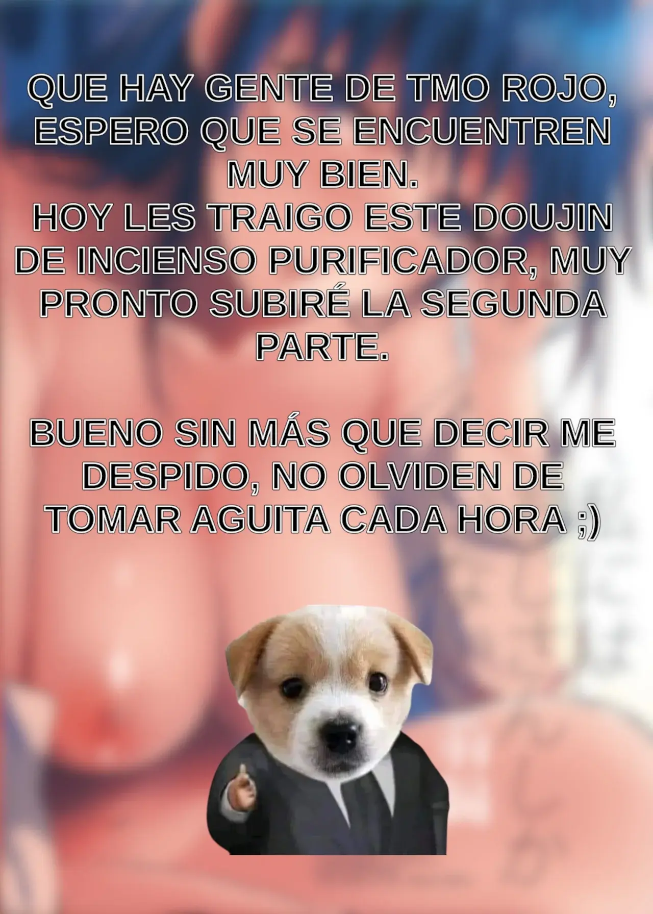 Página 29