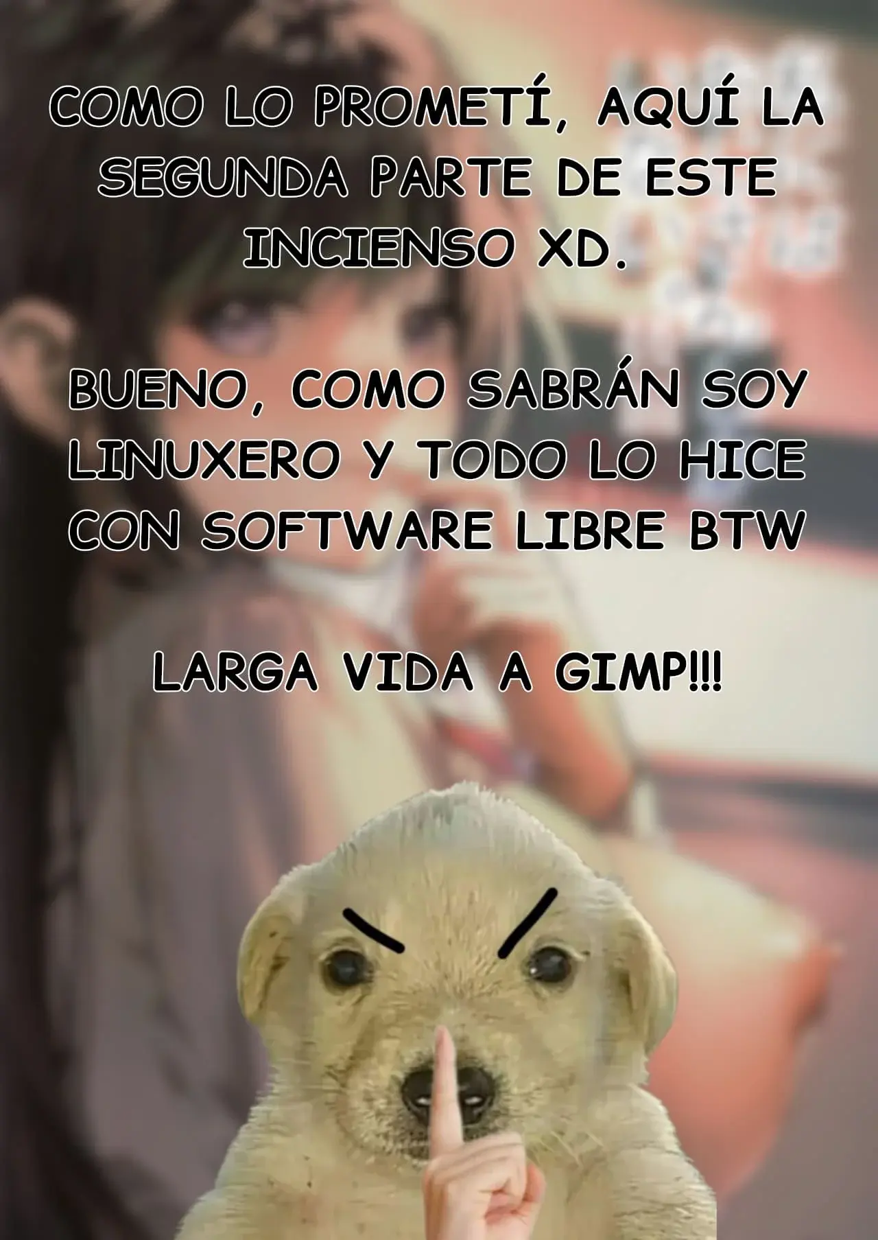 Página 51