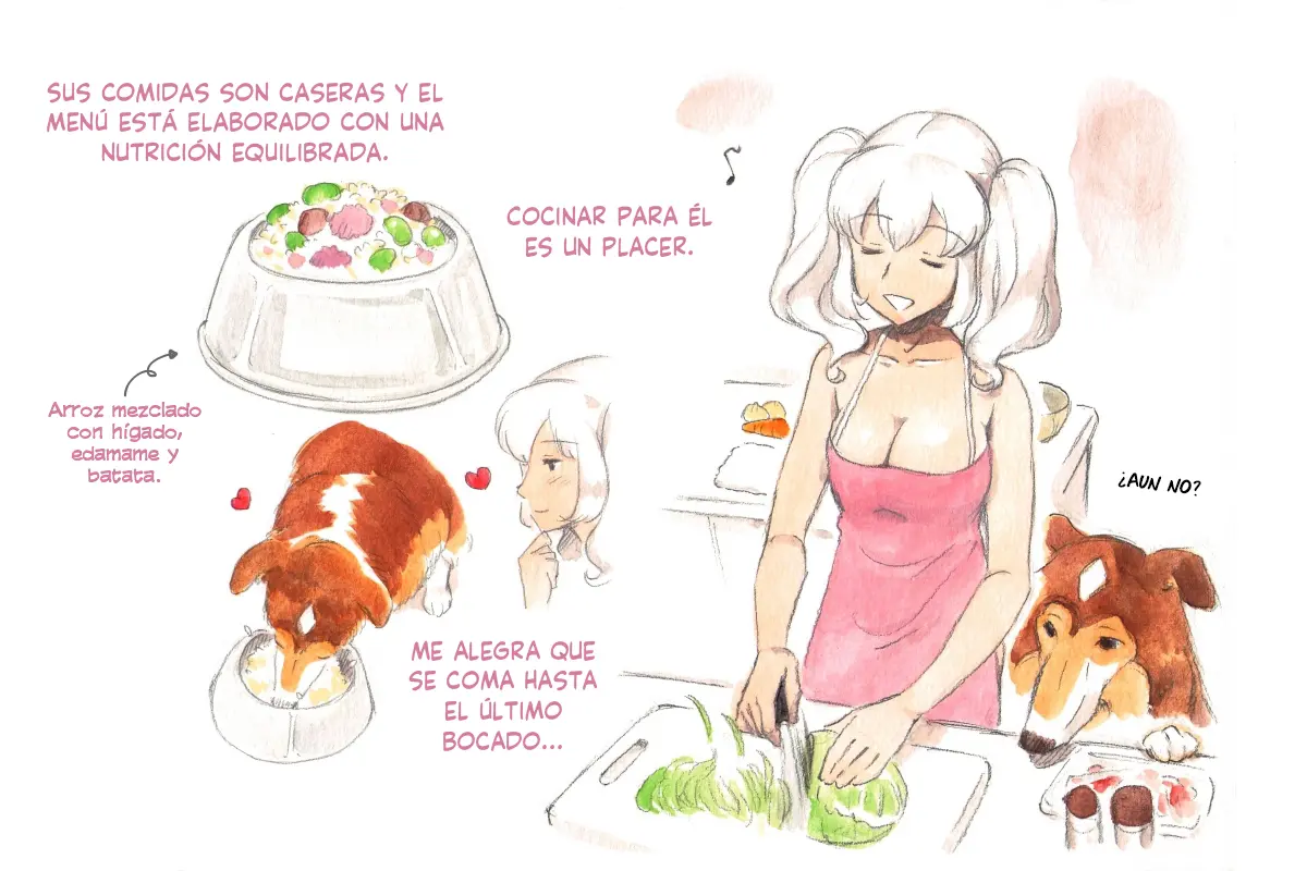 Página 13