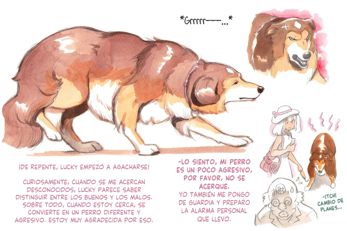 Página 33