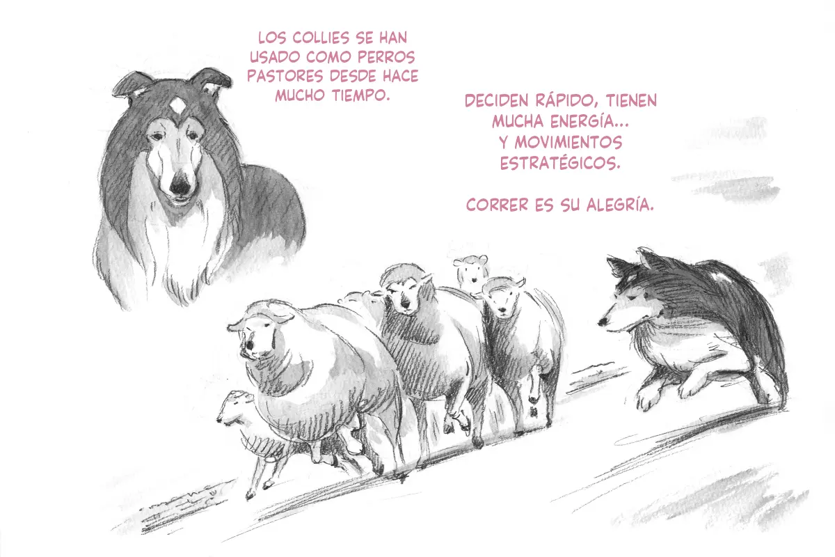 Página 36