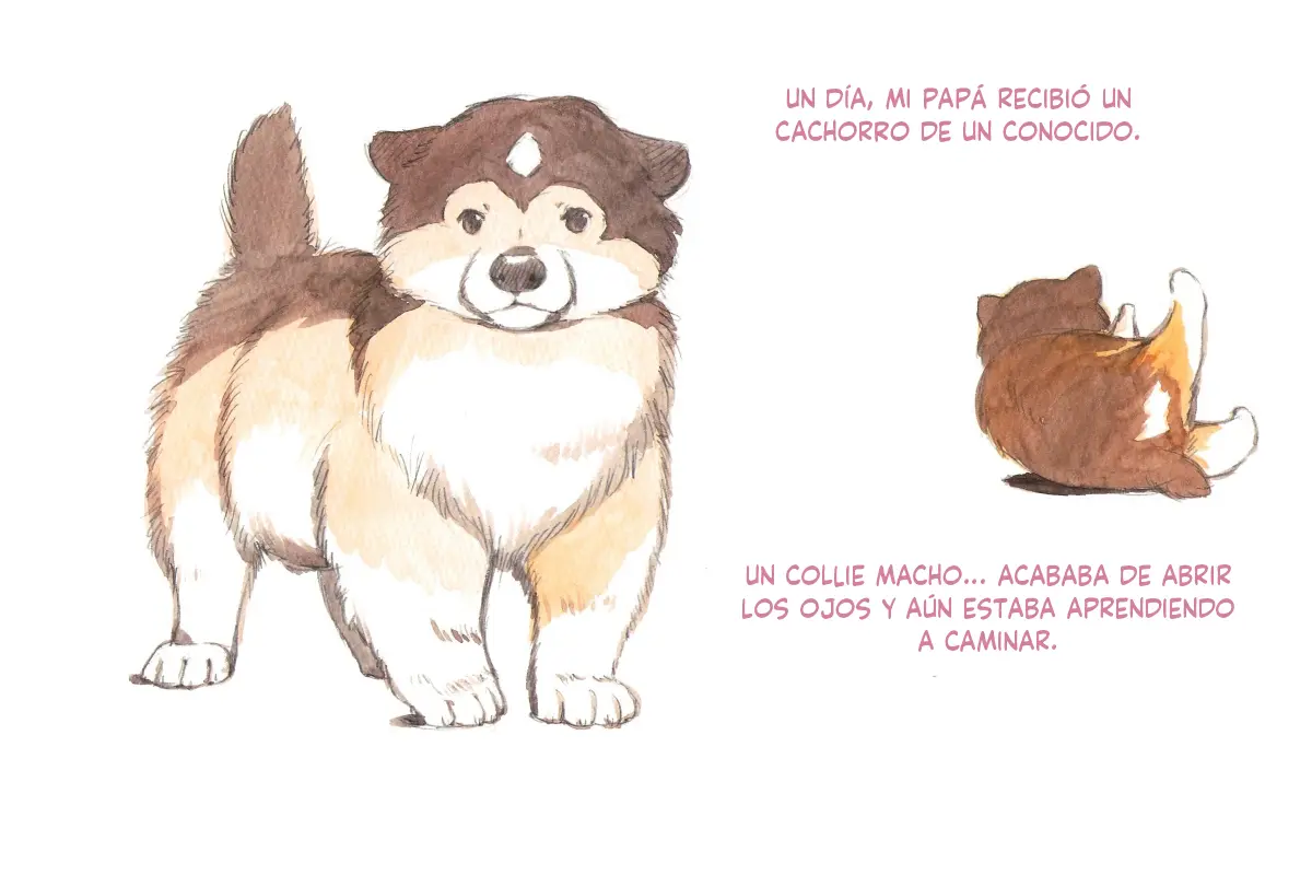 Página 60