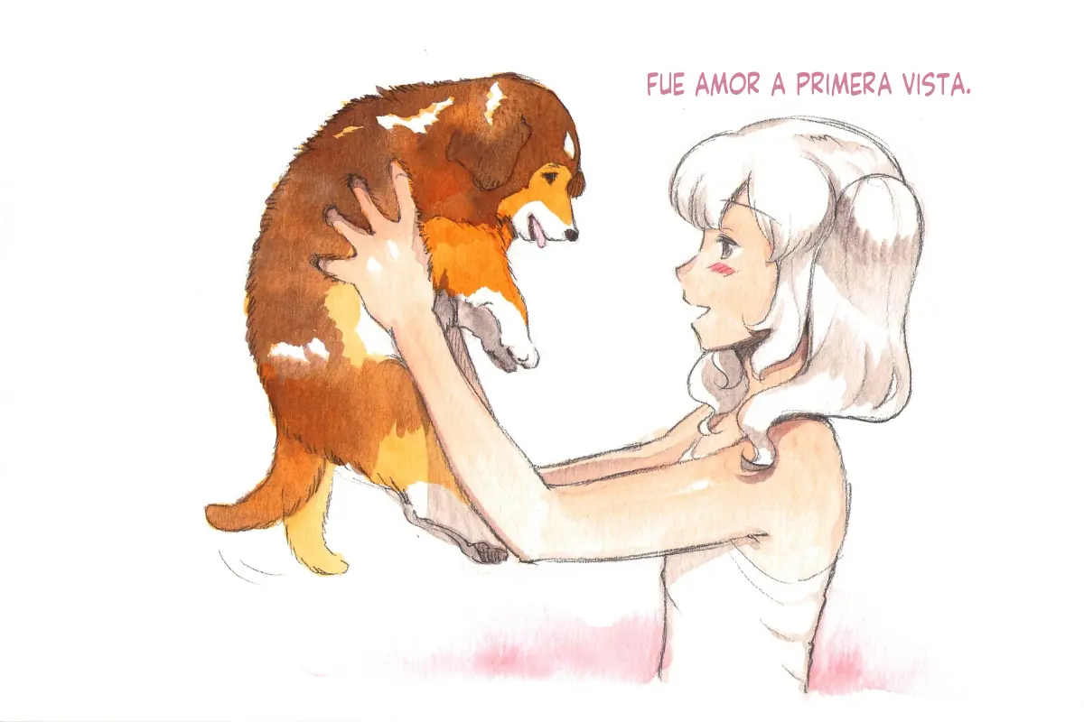 Página 61
