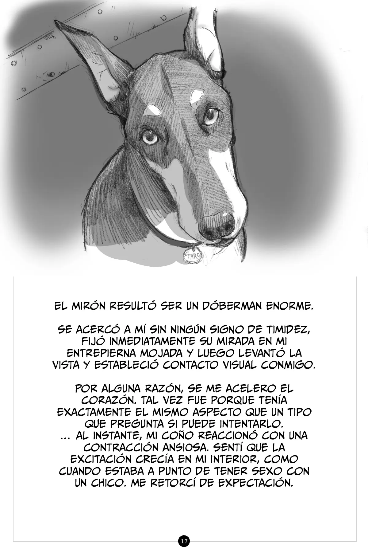Página 19