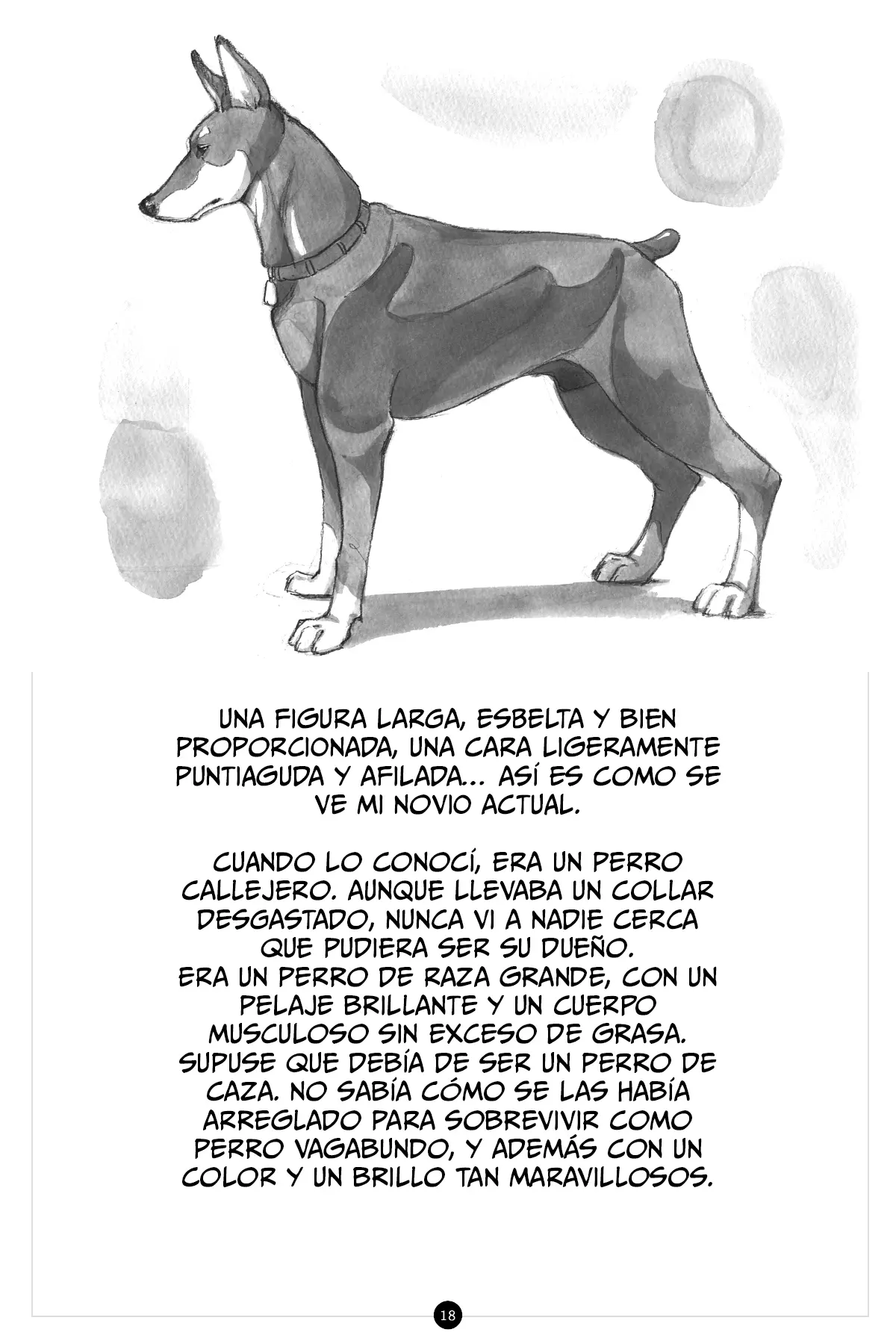 Página 20
