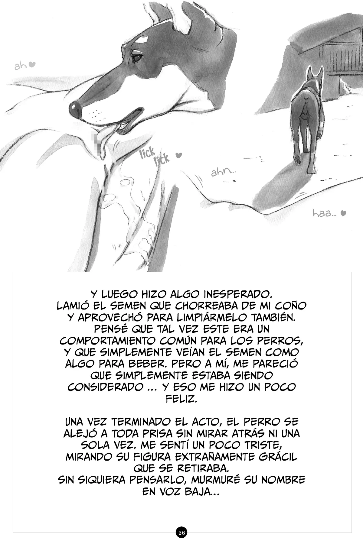 Página 38