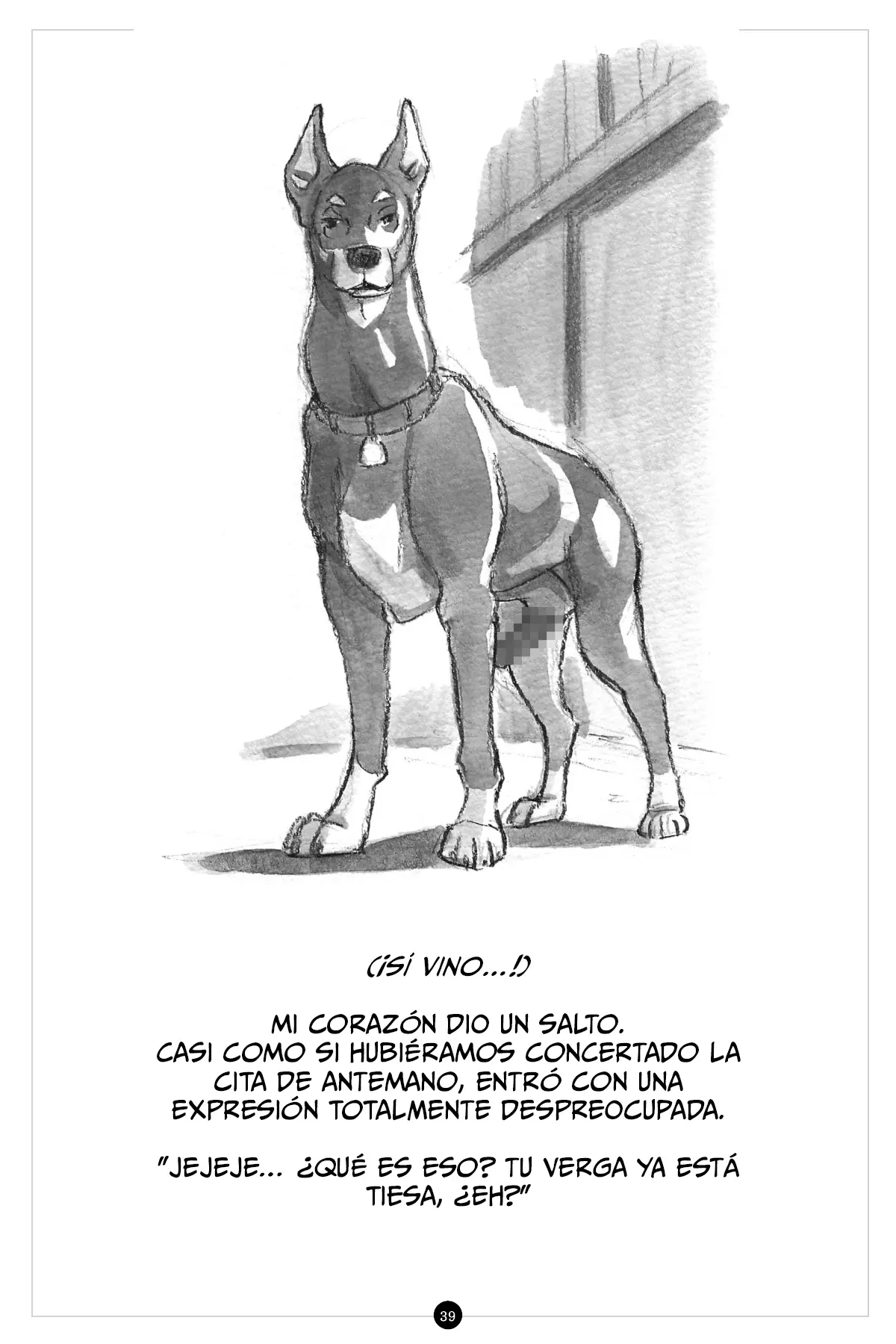Página 41