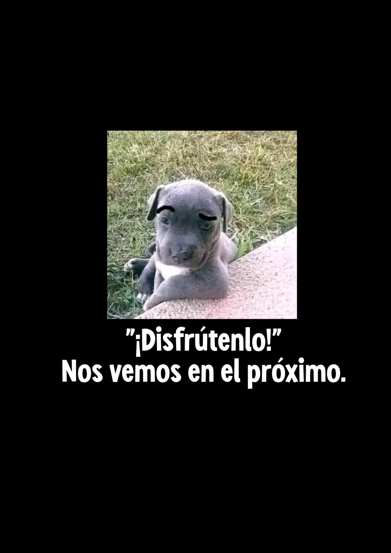 Página 49