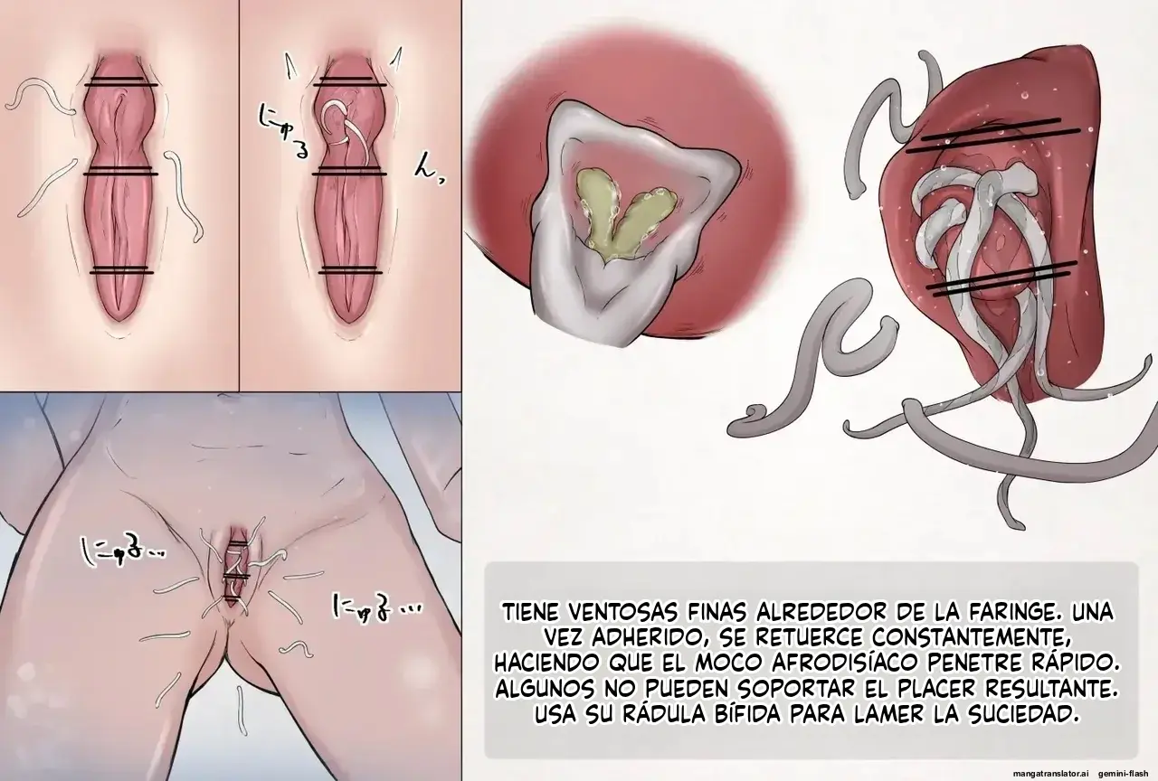 Página 34